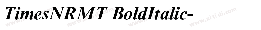 TimesNRMT BoldItalic字体转换